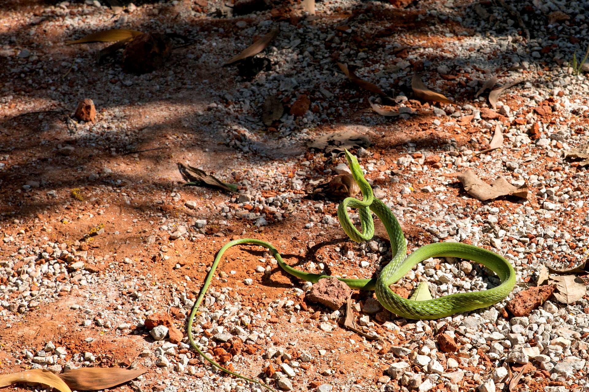 Tageswanderung durch die Umgebung von Nyaung Shwe